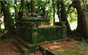 Bí ẩn mộ cổ con gái Vua Hùng nằm giữa gò lộc vừng