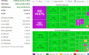 Cổ phiếu chứng khoán &quot;bùng nổ&quot;, VN-Index tăng gần 22 điểm