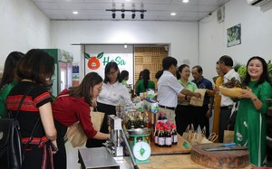 Hội Nông dân TP Huế chung tay nhân rộng cách “đi chợ kiểu mới” để bảo vệ môi trường