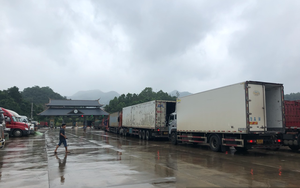 Lạng Sơn: Xe xuất khẩu nông sản sang Trung Quốc qua cửa khẩu tăng, thông quan thuận lợi