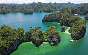 Vịnh Hạ Long - Quần đảo Cát Bà được UNESCO công nhận là Di sản Thiên nhiên Thế giới nhờ những yếu tố nào?