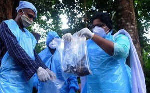 Clip: Ấn Độ đối mặt với đợt bùng phát dịch bệnh do virus Nipah