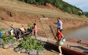 Huy động nguồn lực giảm nghèo bền vững ở vùng cao Sơn La