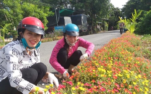 Một huyện của An Giang có những đường hoa nông thôn mới đẹp thế này đây, ai cũng ham chụp hình