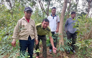 Phân hữu cơ có tác dụng gì, tại sao ngày càng nhiều nông dân Nam Định thích làm phân hữu cơ? - Ảnh 6.