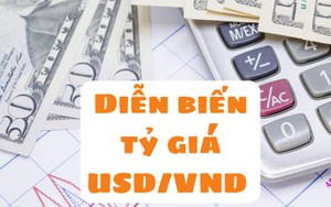 Giá USD đã “leo đỉnh” như thế nào từ đầu năm tới nay?