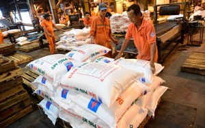 Việt Nam nhập khẩu 1,2 triệu tấn phân bón từ Trung Quốc, giá phân bón trong nước tiếp tục tăng