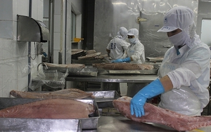 Hàn Quốc bất ngờ tăng mua một loài cá được đóng hộp của Việt Nam, sức mua tăng tới 468%