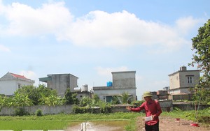 Vùng đất này của tỉnh Thái Bình, nông dân trồng lúa thơm, nuôi tôm sạch
