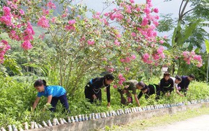Tuyên Quang: 12 xã tiến gần mục tiêu về đích nông thôn mới