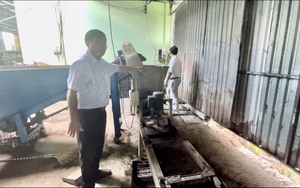 Máy gieo mầm này có gì đặc biệt mà giúp nông dân Sài Gòn thu nhập chục tỷ mỗi năm