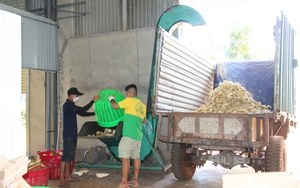 Cứ bóc 1kg múi sầu riêng thải 3kg vỏ, ở Đắk Lắk người ta đang làm gì với loại rác từ cây tiền tỷ?