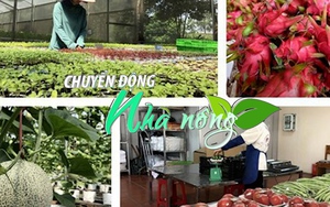 Chuyển động Nhà nông 24/9: Thời cơ mới cho thương mại nông nghiệp Việt - Trung