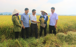 Vận động hội viên, nông dân Đắk Nông tích cực tham gia phát triển nông nghiệp, kinh tế nông thôn