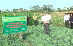 Sử dụng phân bón cho lúa gấp đôi ở Trung Quốc, chuyên gia "hiến kế" sử dụng phân bón hiệu quả, giúp đất khỏe - Ảnh 6.