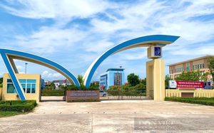 Kỷ luật hiệu trưởng, kế toán Trường Đại học Quảng Bình