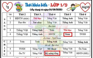 Dạy thêm liên kết tràn lan: "Không lẽ chương trình mới không đủ đào tạo học sinh một cách toàn diện?"