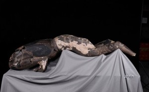 Bí ẩn dấu vân tay tồn tại 2.000 năm trong lăng mộ Tần Thủy Hoàng