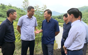 Thứ trưởng Bộ NNPTNT  Nguyễn Hoàng Hiệp kiểm tra tình hình mưa lũ tại huyện Phù Yên