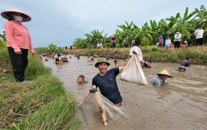 Hải Dương: Hàng trăm người tay nơm, tay vó ùa xuống một đoạn sông bắt cá, có người bắt được cá trắm 6,5kg