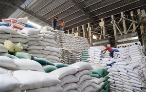 Giá gạo thế giới vẫn chưa có dấu hiệu giảm 