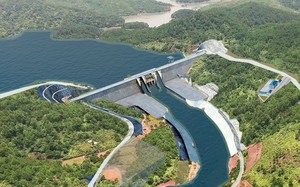 Bình Thuận thông tin về Dự án hồ chứa nước Ka Pét liên quan đến khu rừng hơn 600ha sắp bị phá