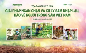 Báo NTNN/Dân Việt tổ chức Tọa đàm "Giải pháp ngăn chặn và xử lý sâm nhập lậu, bảo vệ người trồng sâm Việt Nam"