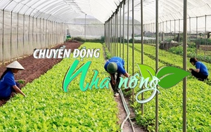 Chuyển động Nhà nông 7/9: Hà Nội đặt mục tiêu thành lập mới 1.000 hợp tác xã