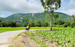 Cung đường bê-tông nông thôn đẹp như phim, view đang hot nhất ở An Giang, ai đi Bảy Núi ráng ghé một lần