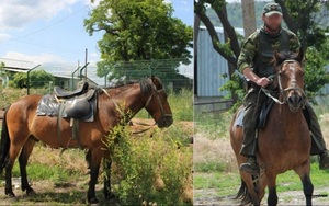 Bất ngờ 'mục sở thị' đơn vị chiến đấu Nga cưỡi ngựa quý ra chiến trường Ukraine