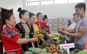 Sơn La: Phát triển sản phẩm OCOP chất lượng, bền vững