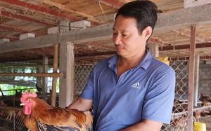 Vùng đất này của Thái Bình, nông dân có bí quyết gì mà giúp hợp tác xã nào cũng thu cả 4-5 tỷ đồng/năm