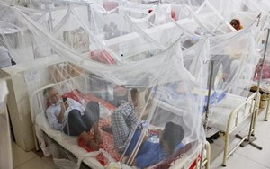 Clip: Dịch sốt xuất huyết bùng phát nghiêm trọng tại Bangladesh