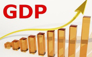 TS Lê Đăng Doanh chỉ ra những động lực tăng trưởng GDP năm 2024