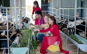 Vốn Agribank - nguồn lực quan trọng tạo nên sức sống mới cho người dân Quảng Nam