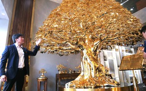 Xuất hiện cây bồ đề mạ vàng giá triệu đô chưng Tết  