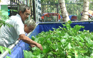 Đang trồng lúa ngon ơ, nông dân Tây Ninh chuyển sang nuôi con đặc sản này, thu lời cả trăm triệu