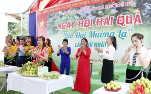 Sơn La: Mường Bú tổ chức ngày hội hái táo đại