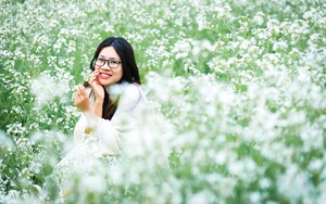 Bạt ngàn hoa cải trắng đẹp như tranh ở Mộc Châu, du khách đổ xô tới chụp ảnh