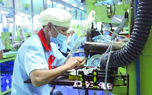 HSBC khẳng định kinh tế Việt Nam đang phục hồi theo tiến độ, sẽ tăng trưởng 6% trong năm 2024