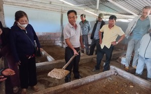 Gia Lai: Cán bộ, hội viên nông dân thị xã Ayun Pa tham quan mô hình nuôi sâu canxi