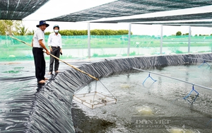 Hội Nông dân tỉnh Bạc Liêu phát triển thế hệ “nông dân mới” sành công nghệ