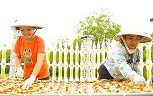 Dân một nơi ở Kiên Giang đem tôm càng xanh phơi một nắng, ai ngờ bán nhanh như tôm tươi