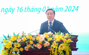 Phó Thủ tướng: Kon Tum cần thu hút các nguồn lực để phát triển dược liệu, nhất là sâm Ngọc Linh