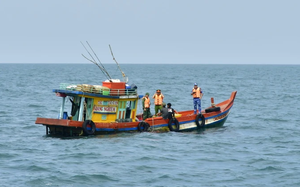 Liên tiếp xảy ra tranh chấp ngư trường, Bộ NNPTNT đề nghị tỉnh Cà Mau xử lý nghiêm các đối tượng vi phạm