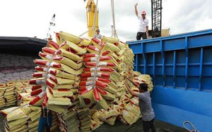 Nhu cầu mua gạo Việt từ Philippines và Trung Quốc sẽ tăng mạnh trong năm nay