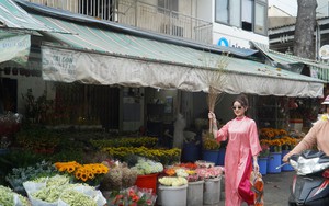 Nhiều dòng hoa “hot” như tuyết mai, đào đông, Nhật Tân mini... hút khách ở chợ hoa Tết