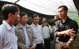 Hội ND Lâm Đồng đưa cán bộ, hội viên, nông dân đi thăm mô hình nuôi trùn quế, thu hơn 30 triệu/tháng