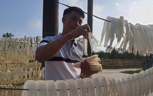 Một loại củ ngon, ăn tốt cho sức khỏe đang giúp nông dân nơi này ở Quảng Ninh tăng thu nhập