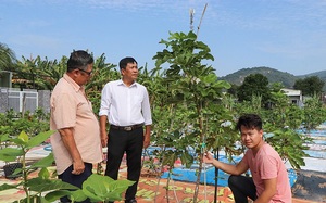 Đây là cây trồng mới, con nuôi mới đang mang lại nhiều tiền hơn cho nông dân Bà Rịa-Vũng Tàu